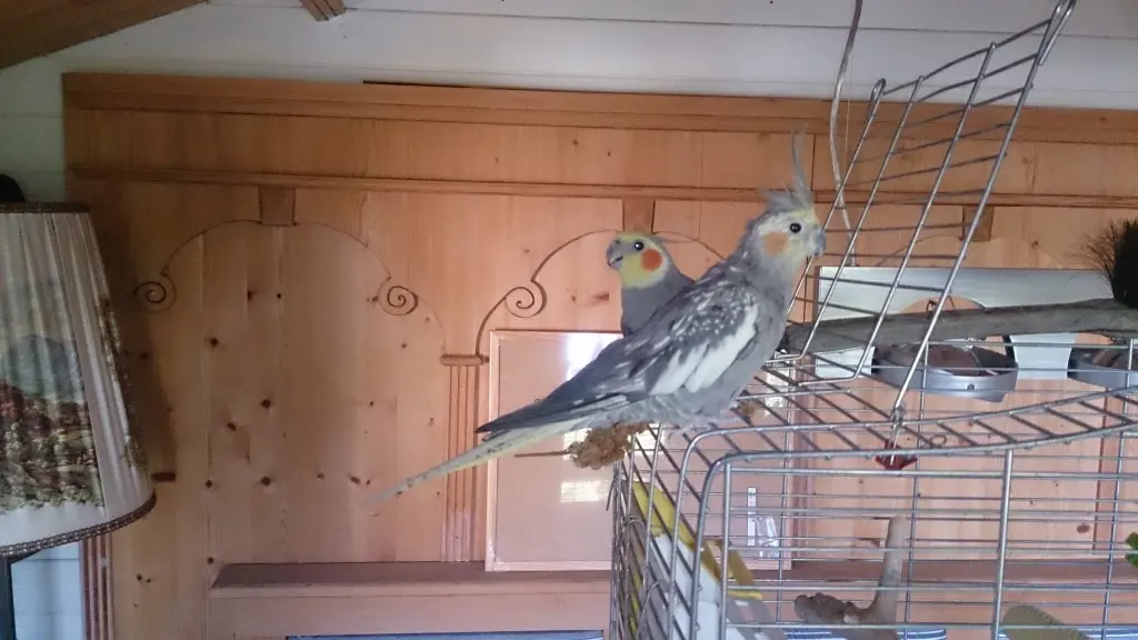 Andachtsbild von Hans Ensslin