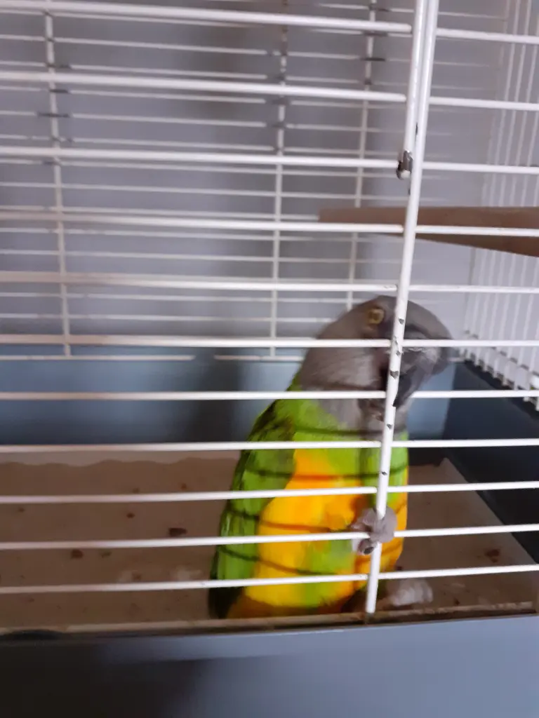 Andachtsbild von Birgit mit Max im Herzen ❤