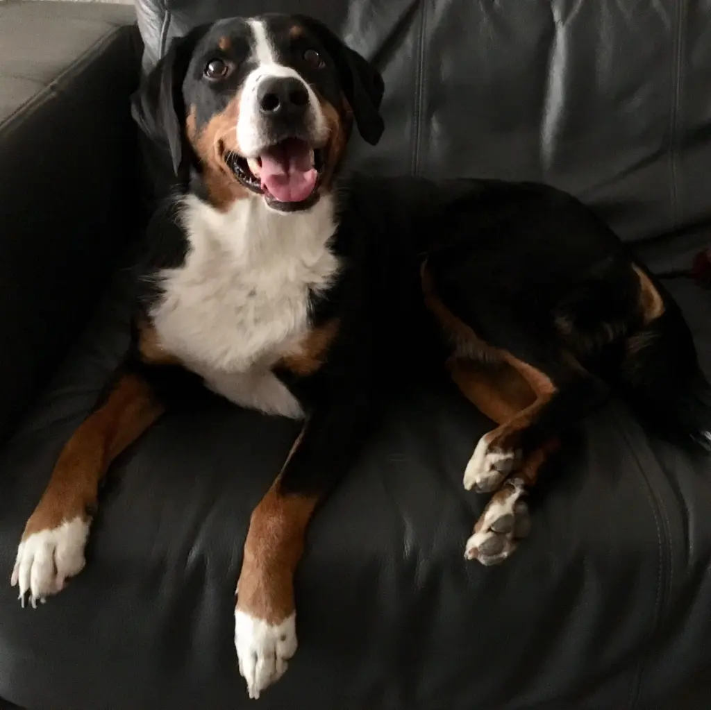 Andachtsbild von Wolf Claude