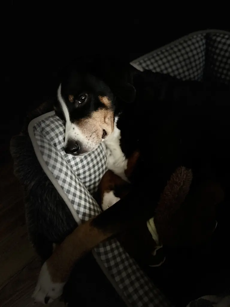 Andachtsbild von Wolf Claude