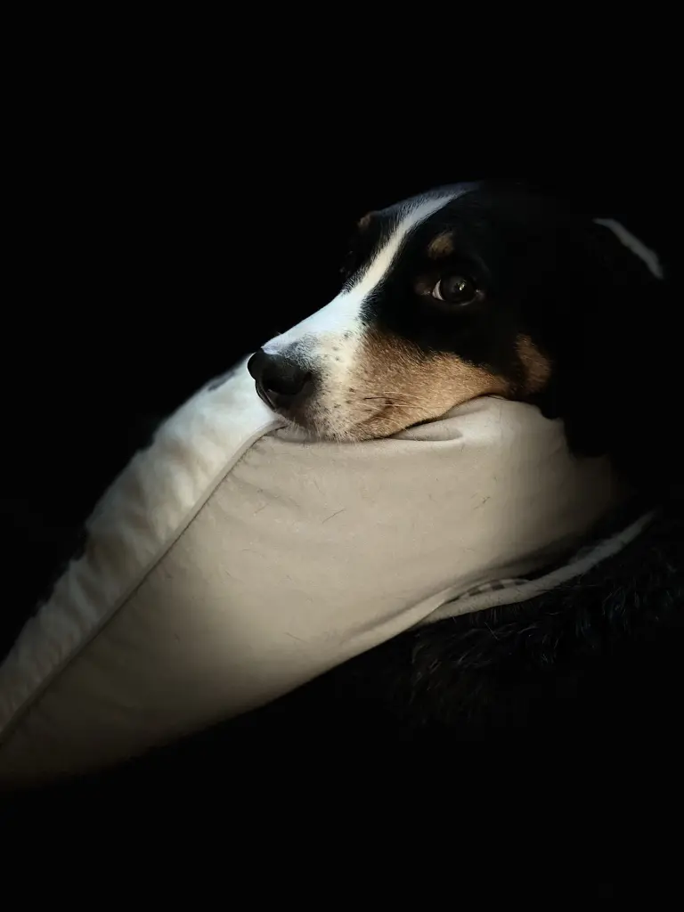 Andachtsbild von Wolf Claude