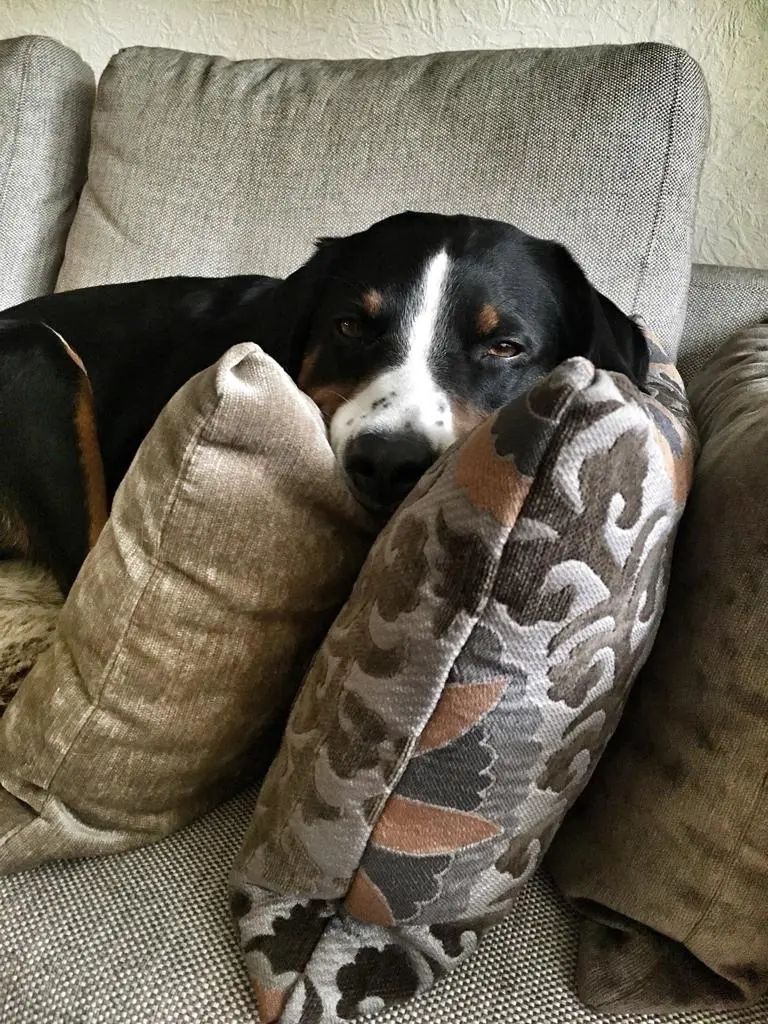 Andachtsbild von Wolf Claude