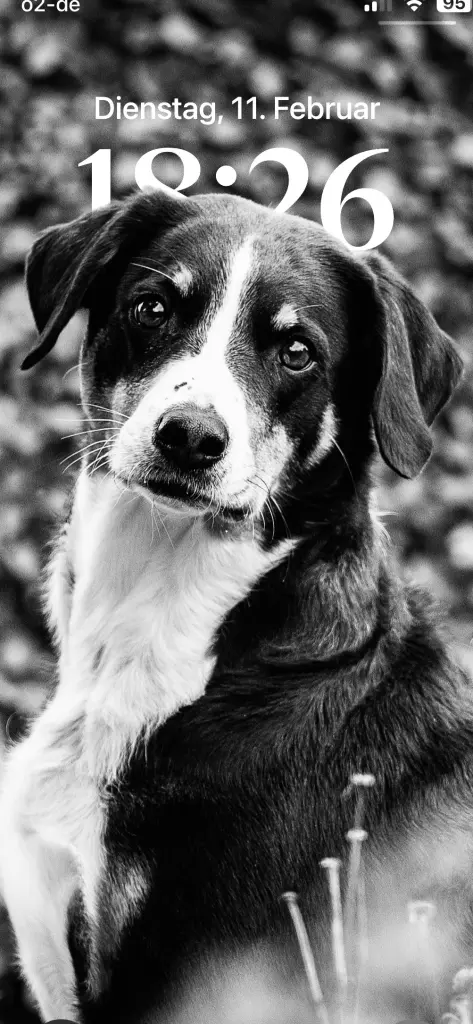 Andachtsbild von Wolf Claude