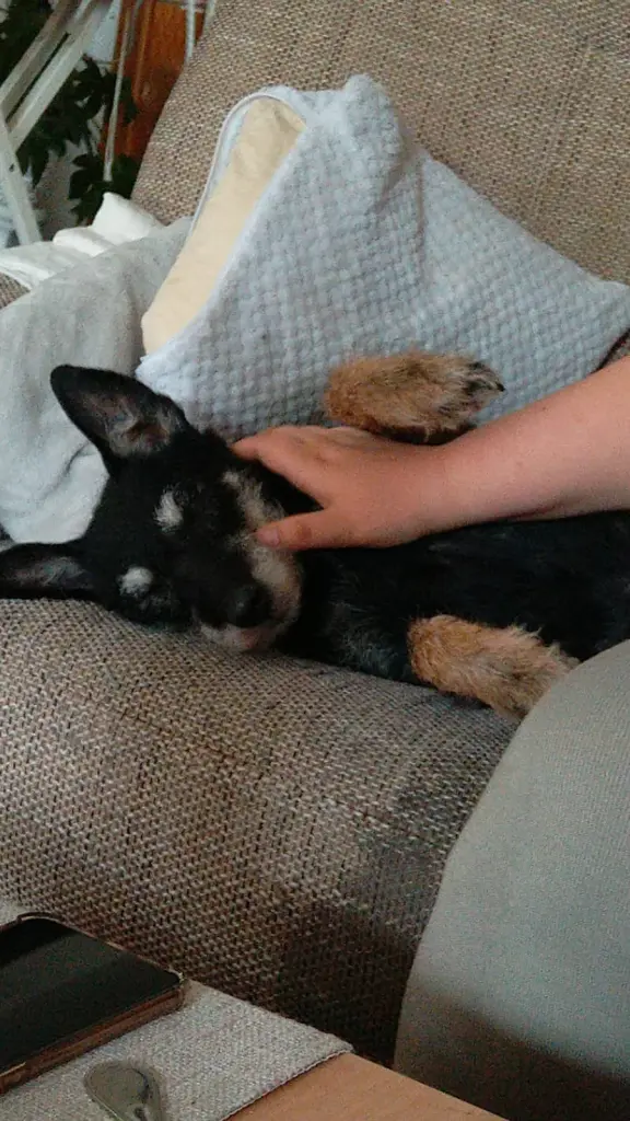 Andachtsbild von Andi Voel