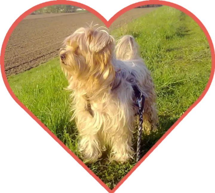 Andachtsbild von Ewa und Krzysztof mit Jacki tief im Herzen ❤