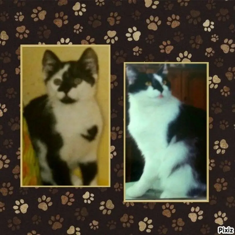 Andachtsbild von Annemarie und Elke mit Snoopy im Herzen gest.04.01.2022