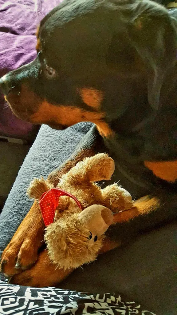 Andachtsbild von Nicole mit Big-Boy im ❤️