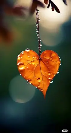 Andachtsbild von ♡Herzen♡