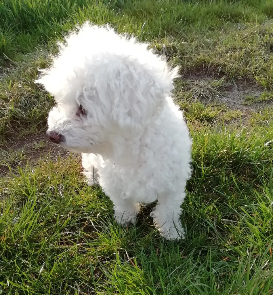 Andachtsbild von ♡Herzen♡