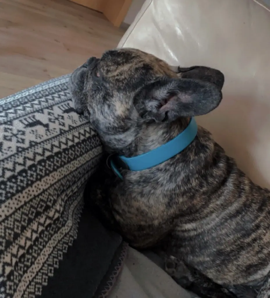 Andachtsbild von Lucy