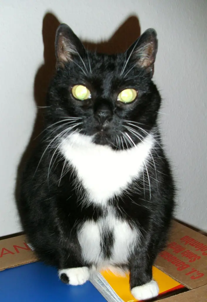 Condolence image of Jeanne - M. mit Teufel im Herzen