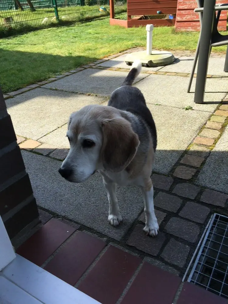 Image from Fiona
