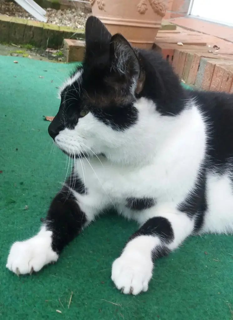 Condolence image of Annemarie und Elke mit Snoopy im Herzen gest.04.01.2022