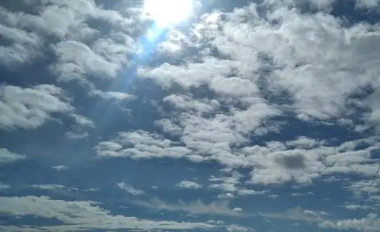 Condolence image of Erika