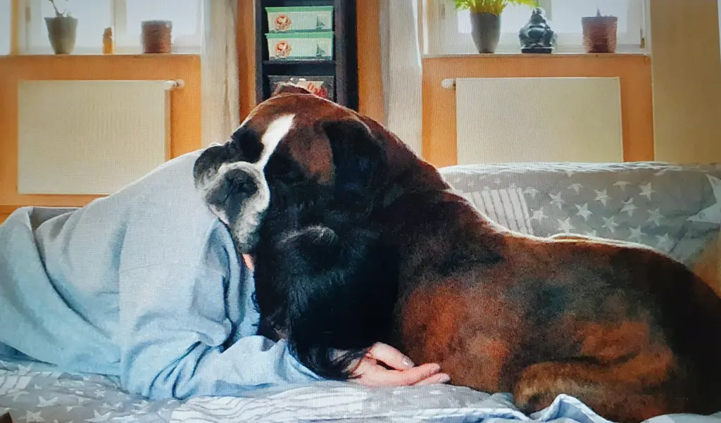 Andachtsbild von Karina und Jörg mit Floyd im ❤ 