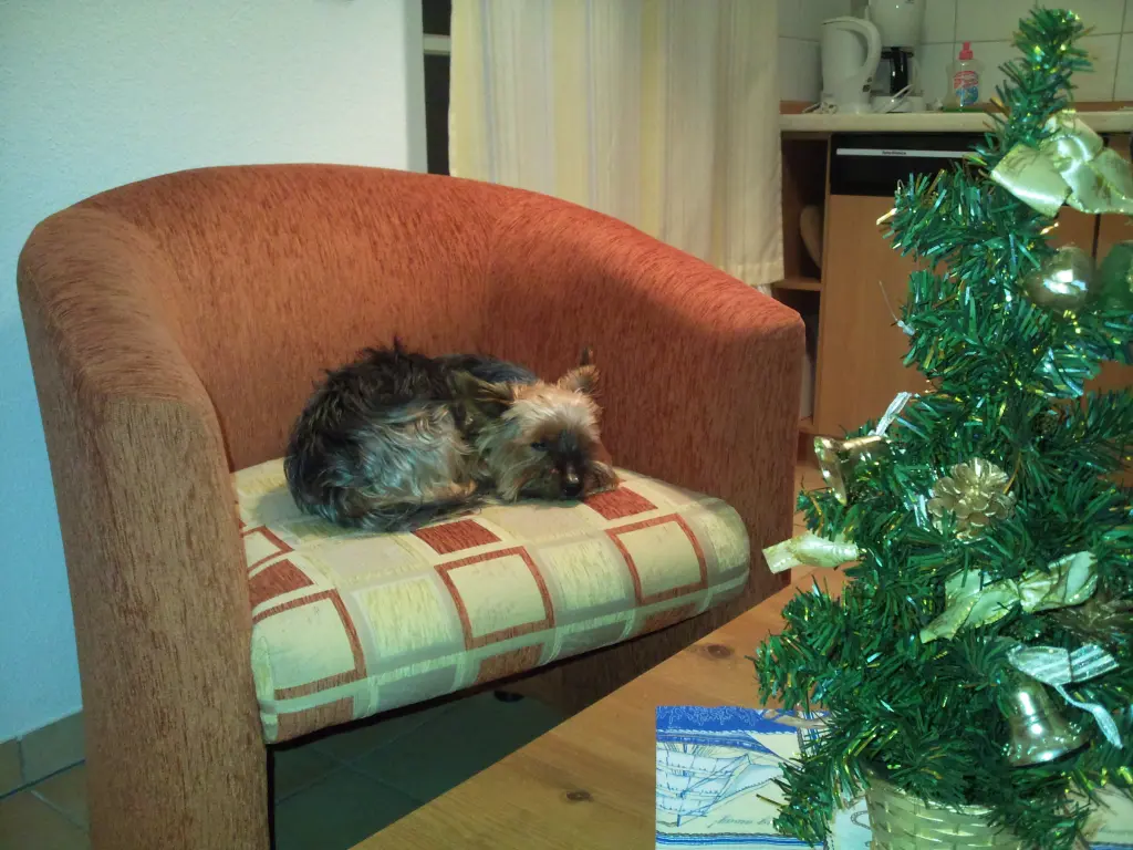 Andachtsbild von Manuela mit Seelenhund Flick