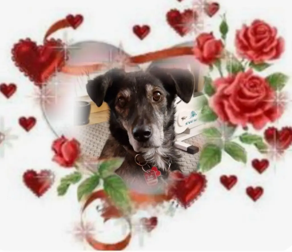 Andachtsbild von Anekan♥️ geliebt♥️ und unvergessen♥️