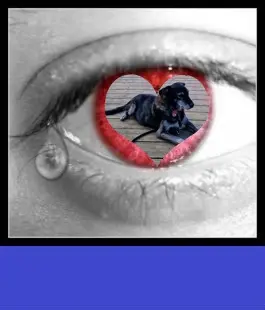 Andachtsbild von ❤️❤️❤️❤️❤️❤️❤️❤️