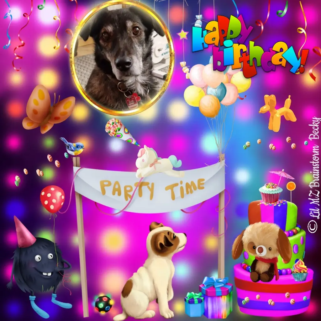 Andachtsbild von 11.Geburtstag❤️❤️❤️❤️❤️❤️❤️❤️❤️❤️❤️