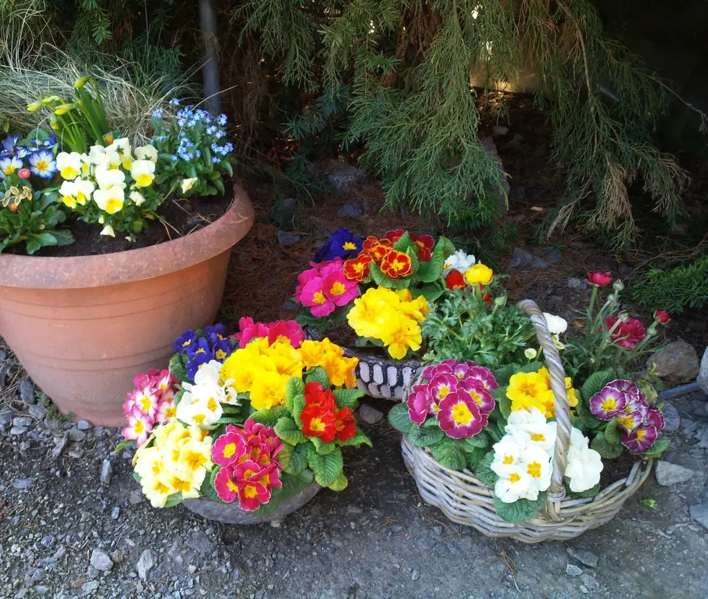 Andachtsbild von Manuela mit Flick und Offi
