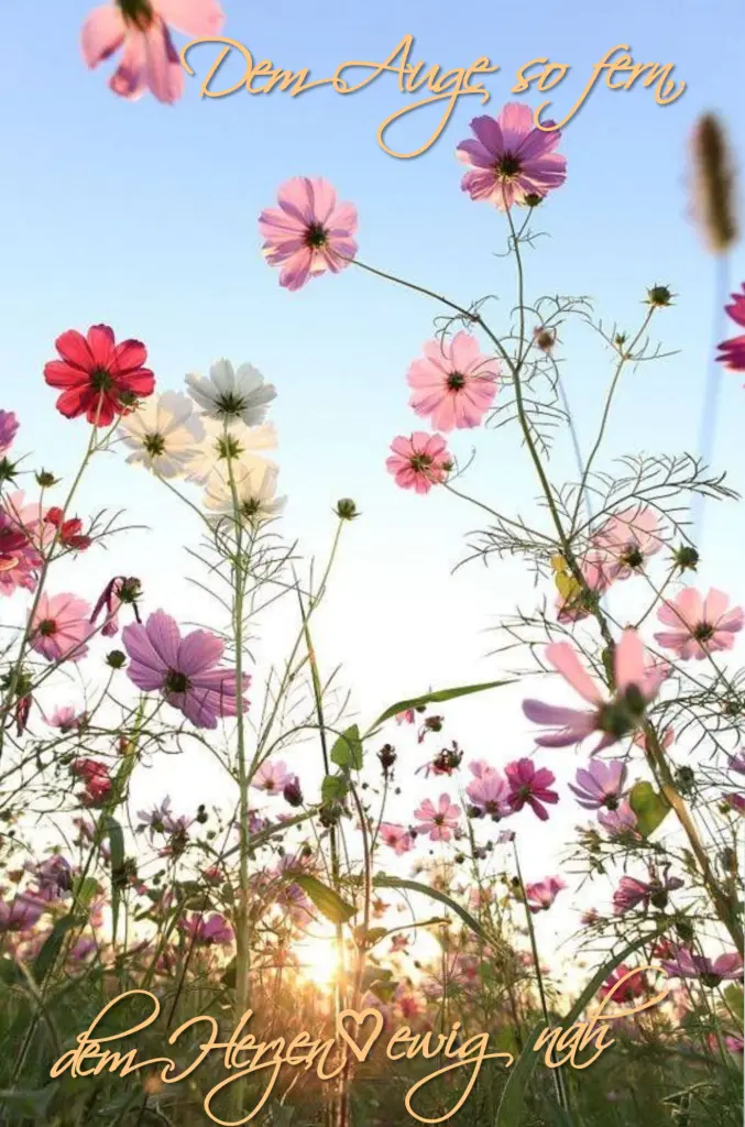 Andachtsbild von ♡Herzen ♡