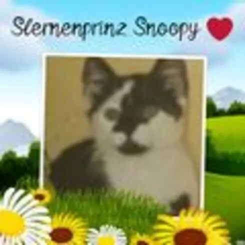 Andachtsbild von Snoopy und Pünktchen❤