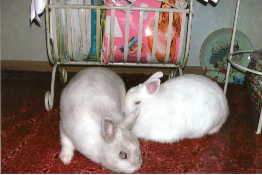 Andachtsbild von USCHI !!!