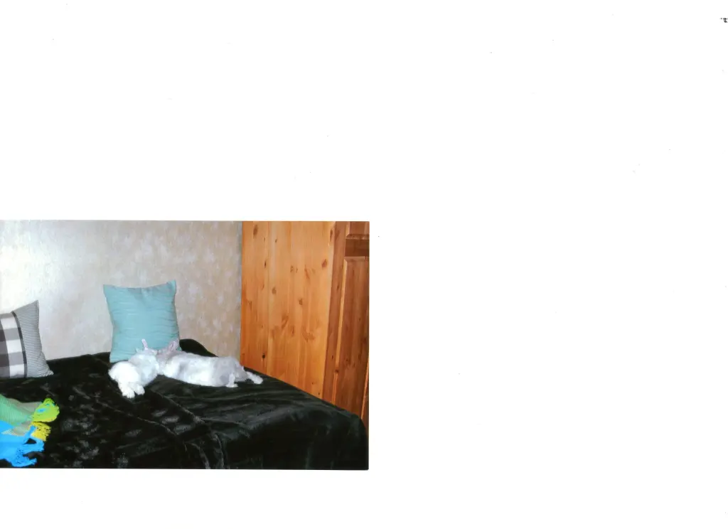 Andachtsbild von USCHI !!!