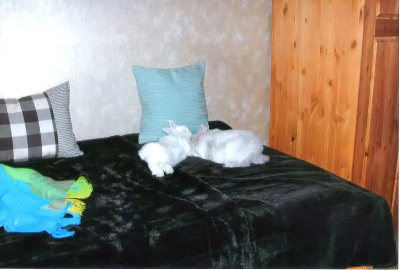 Andachtsbild von USCHI !!!