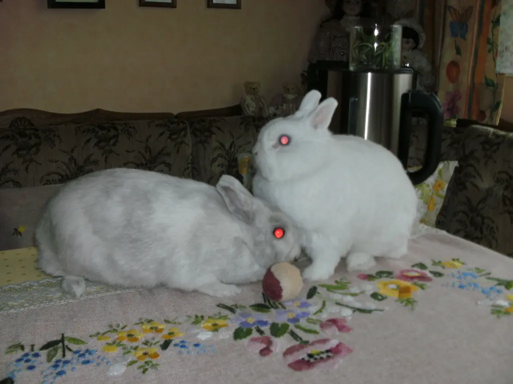 Andachtsbild von USCHI !!!