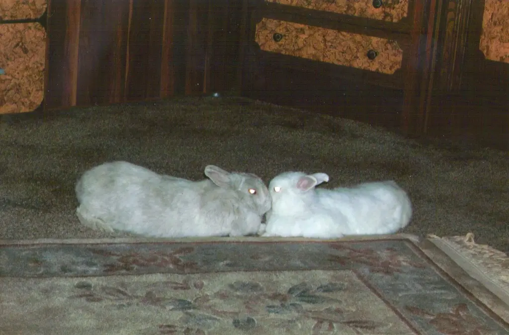 Andachtsbild von USCHI !!!