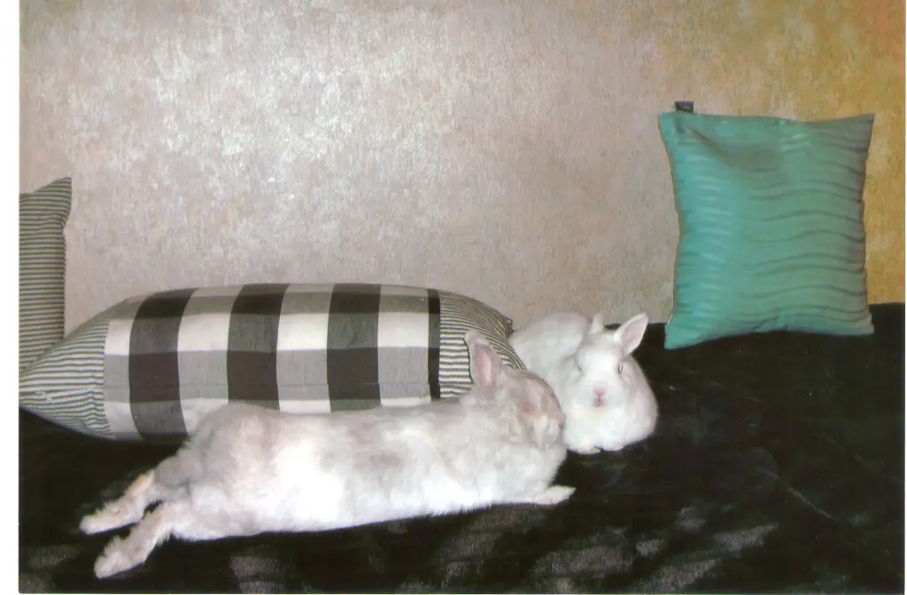 Andachtsbild von USCHI !!!