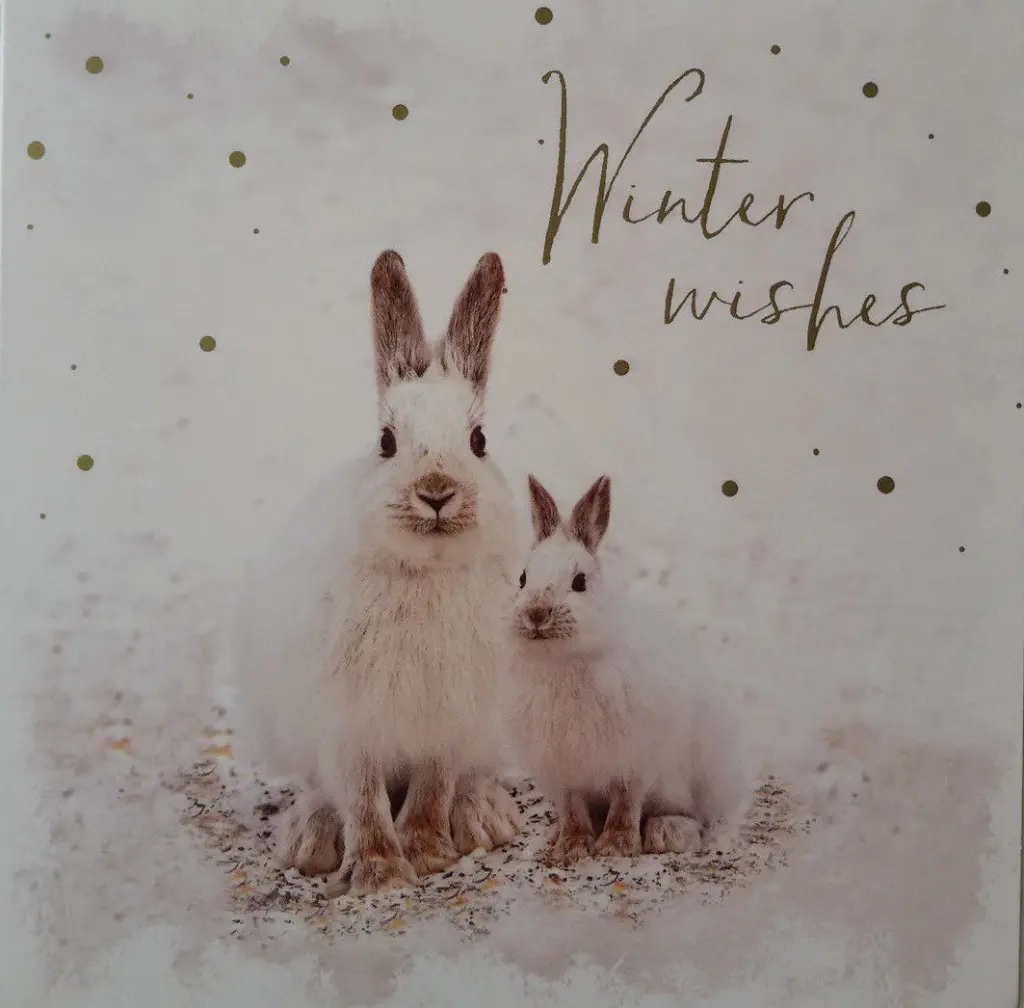 Andachtsbild von USCHI !!!