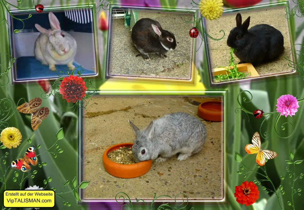 Andachtsbild von Unbekannt