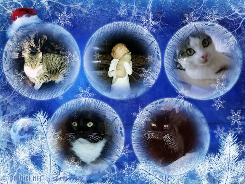 Andachtsbild von Unbekannt