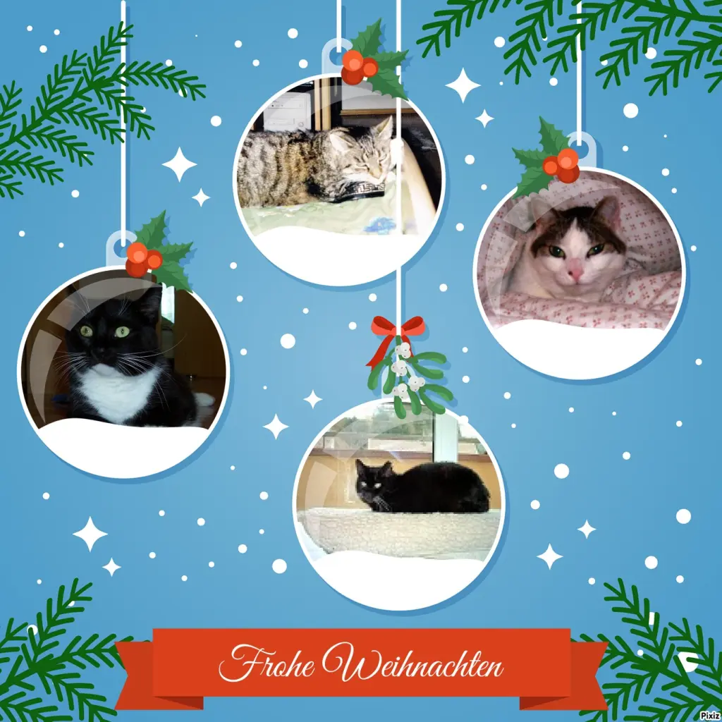 Andachtsbild von Unbekannt