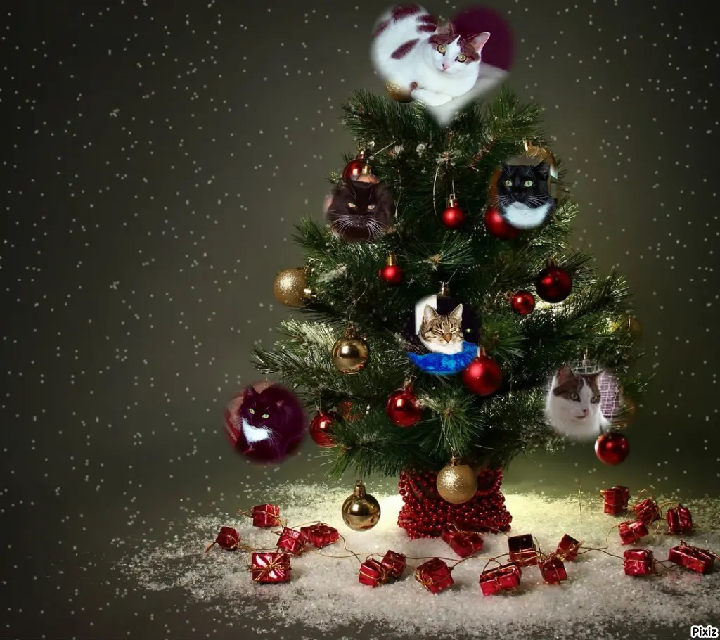 Andachtsbild von Unbekannt