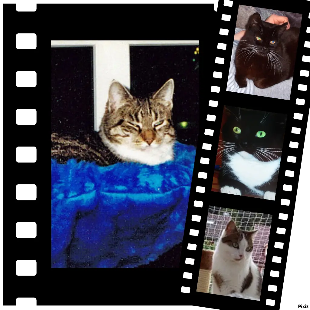 Andachtsbild von Unbekannt