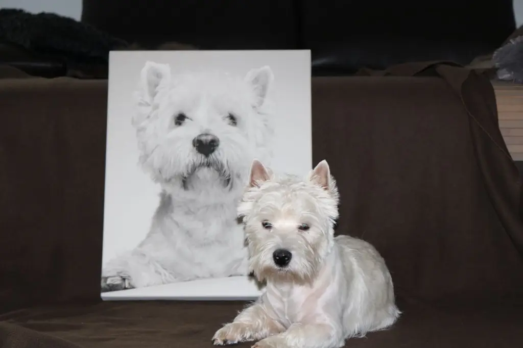 Condolence image of Karin und Roland