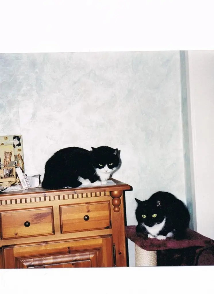 Condolence image of Jeanne - M. 