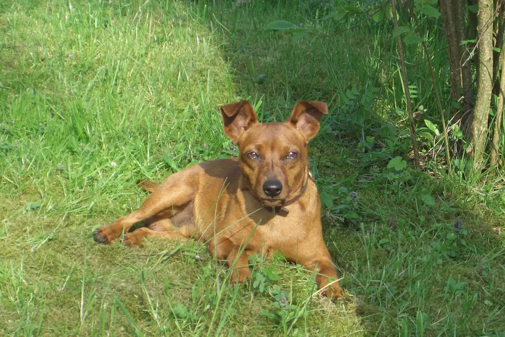 Andachtsbild von Jutta