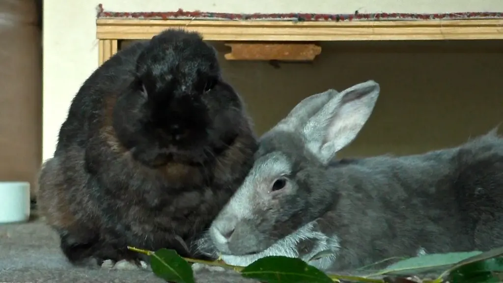 Andachtsbild von Sabine