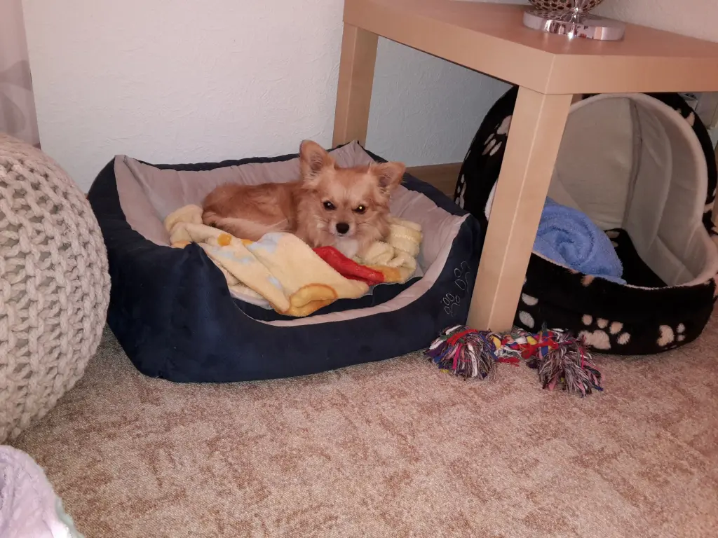 Andachtsbild von Jutta