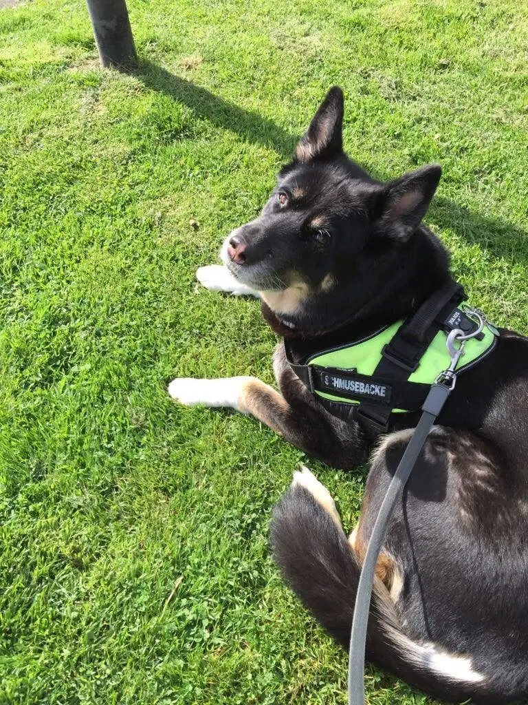 Andachtsbild von Unbekannt