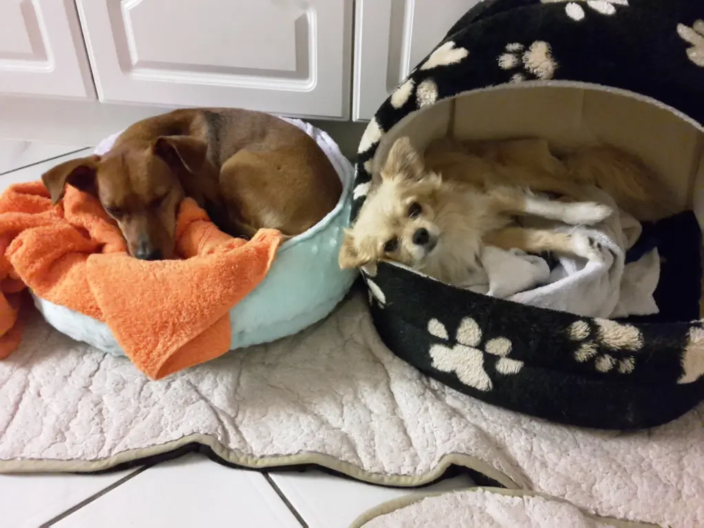 Andachtsbild von Jutta