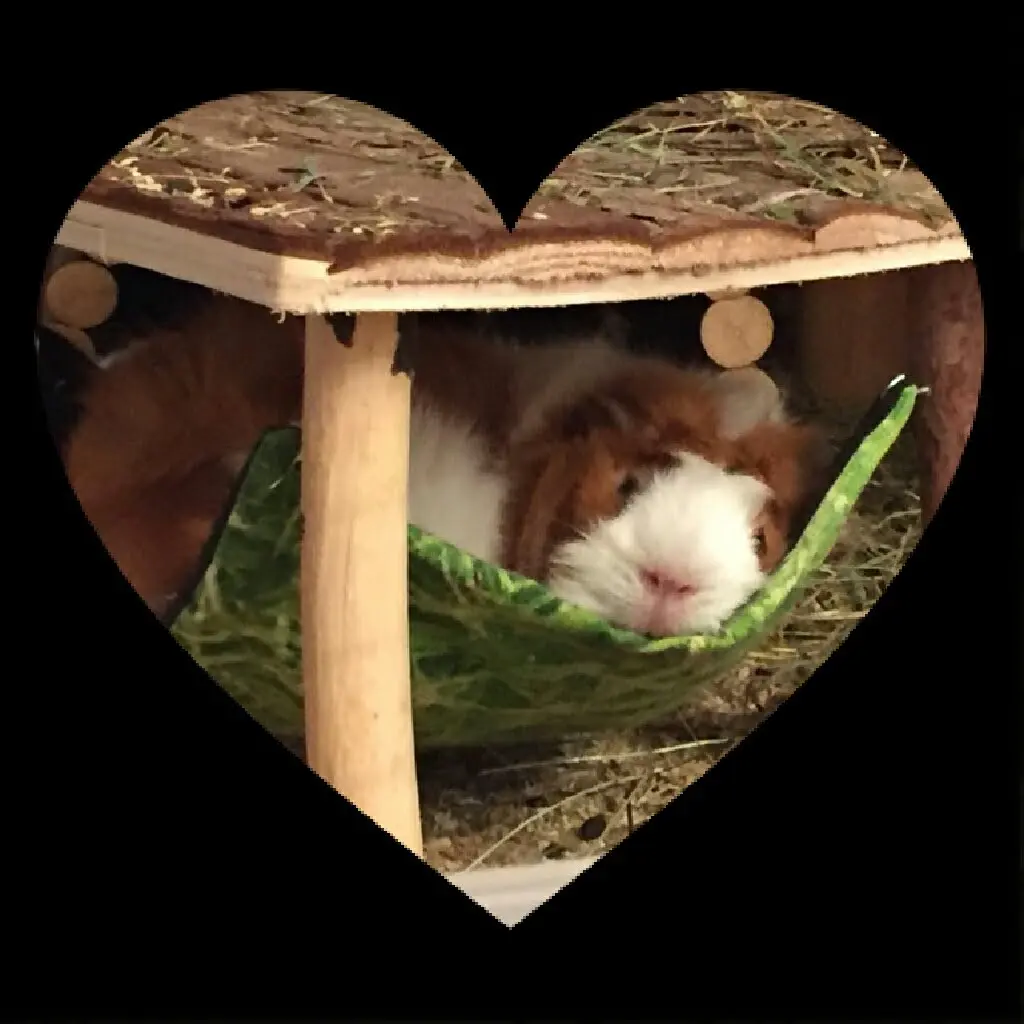 Andachtsbild von Marcus, Melanie und die Fellnasen