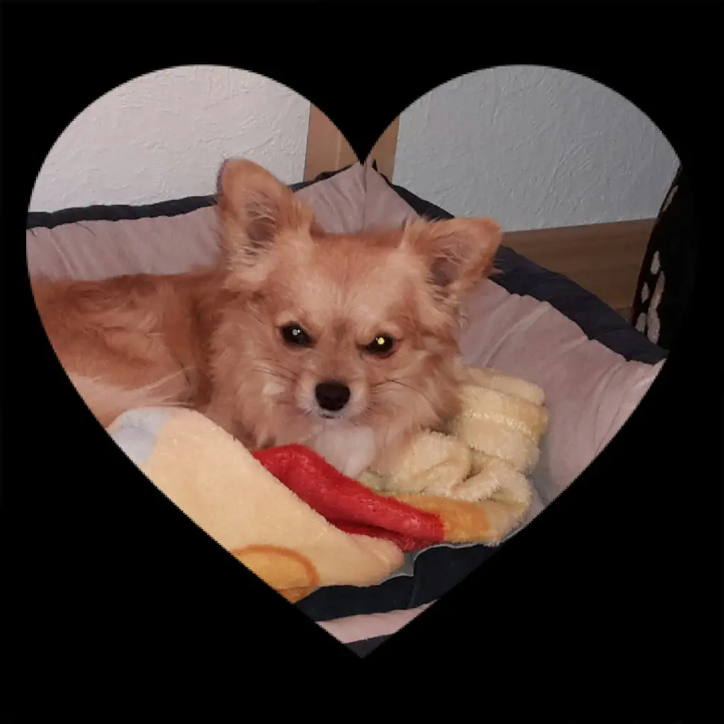 Andachtsbild von Jutta