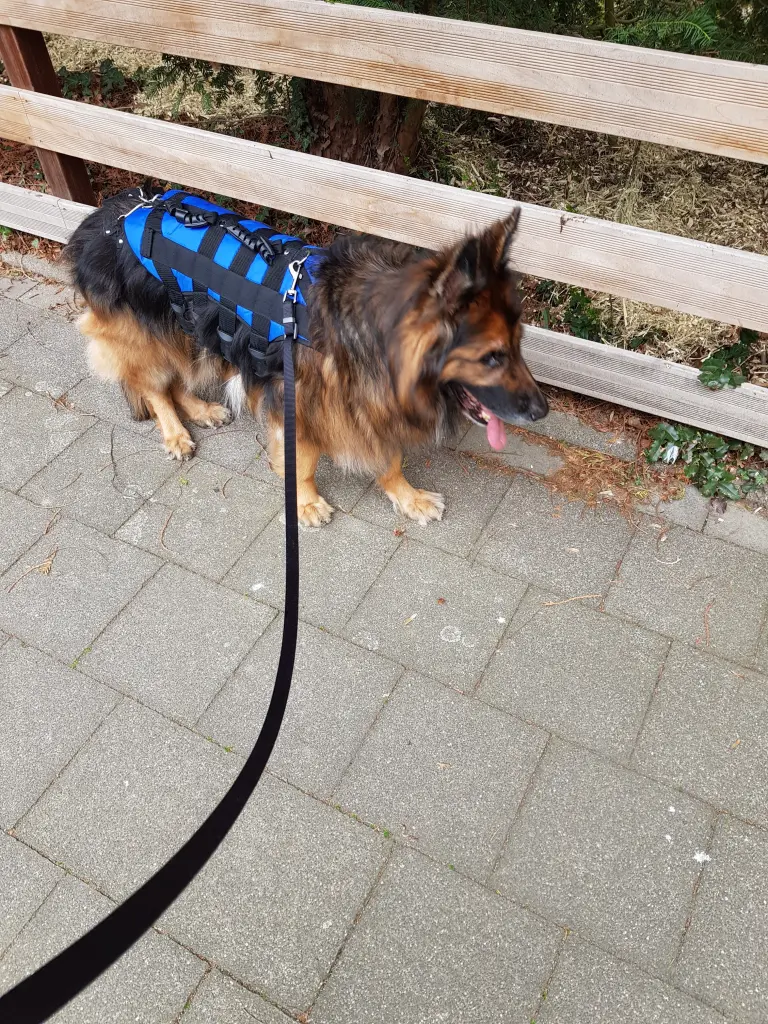 Andachtsbild von Klaudia mit Misiu❤❤❤