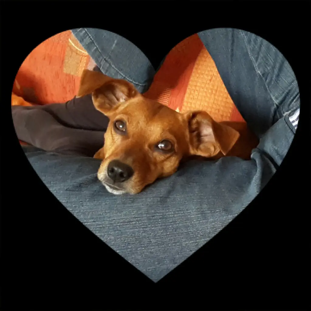 Andachtsbild von Jutta