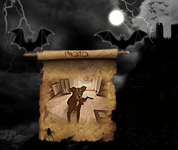 Andachtsbild von Unbekannt